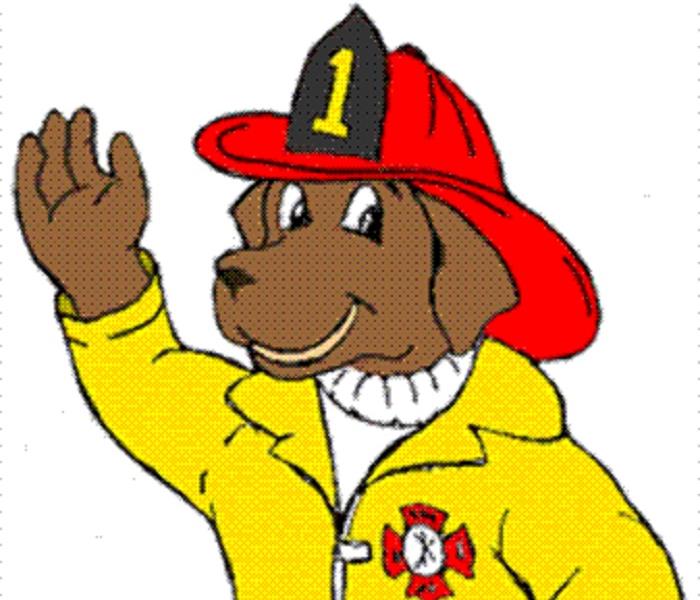 Fire Safety Dog Mascot